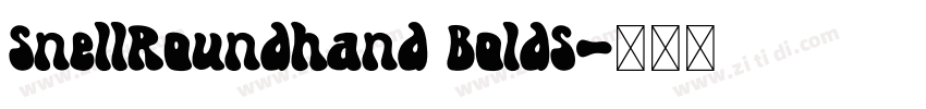 SnellRoundhand BoldS字体转换 SnellRoundhand BoldS字体转换
